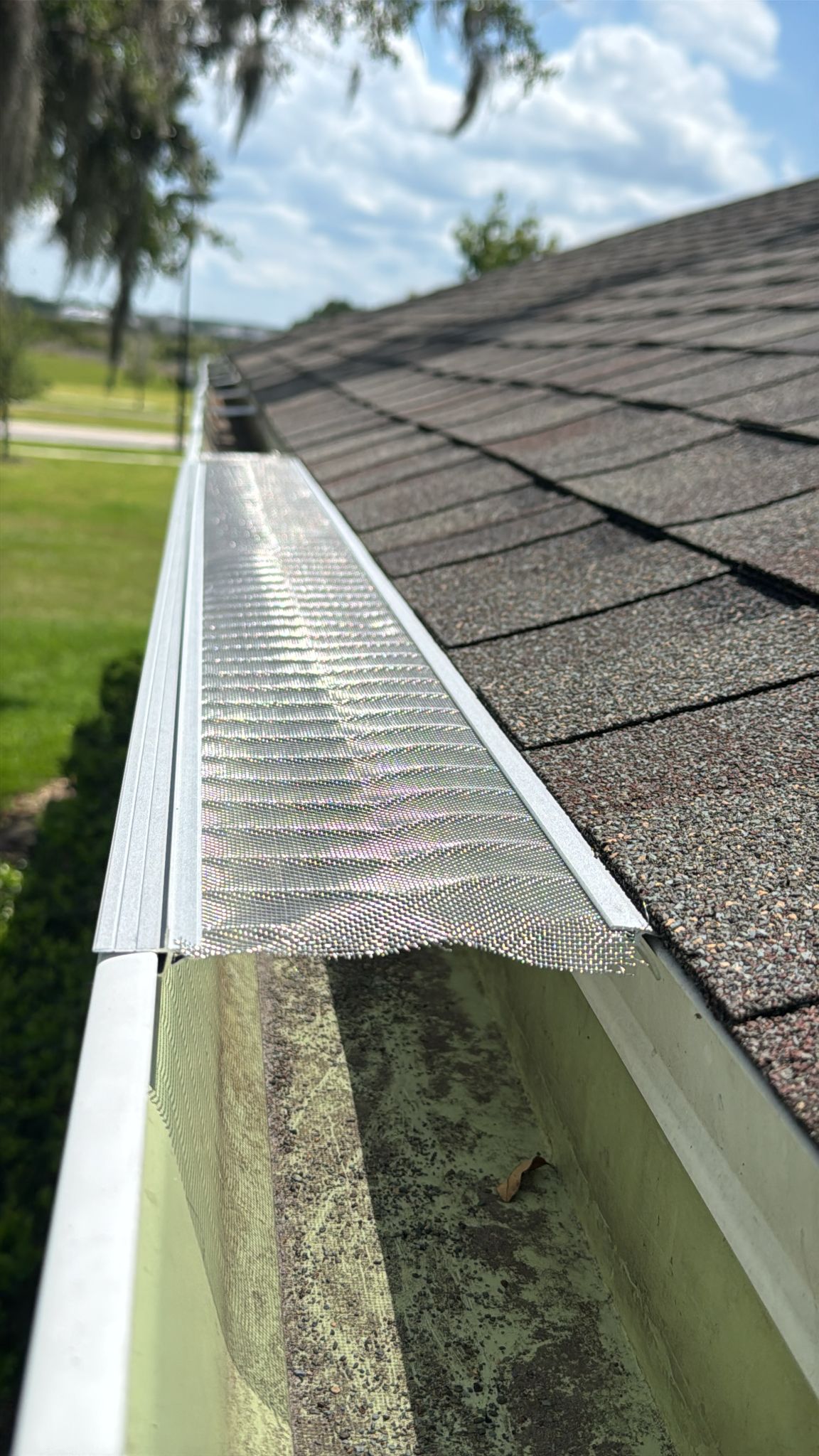 Gutter Goddess micro-mesh gutter guard installed along a Tampa-area roofline